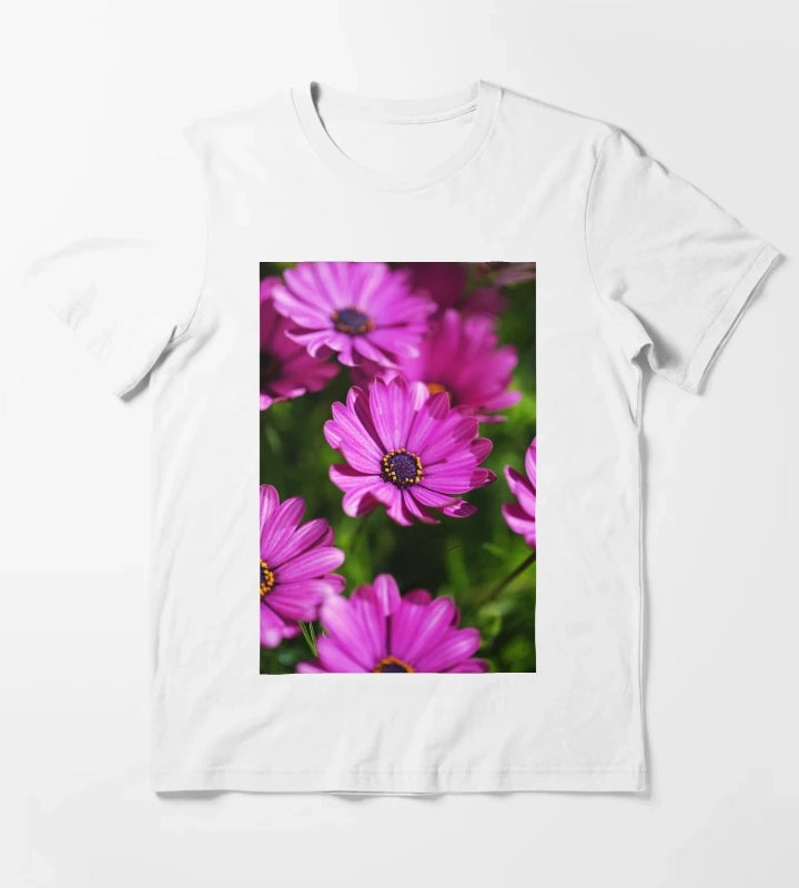 Cape Daisies All Together T-Shirt White
