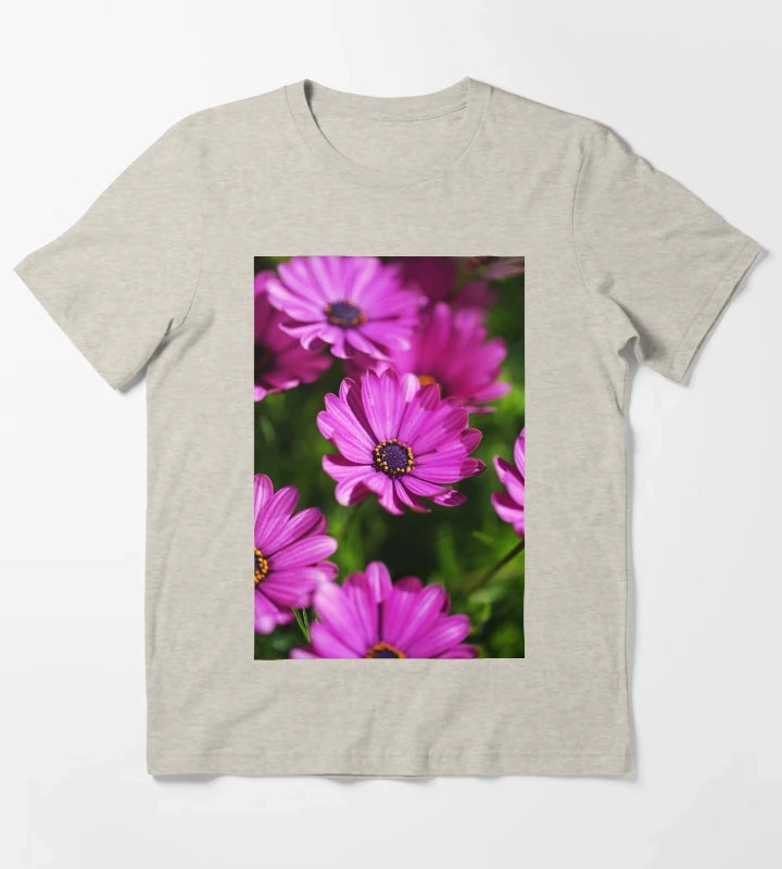 Cape Daisies All Together T-Shirt Cream
