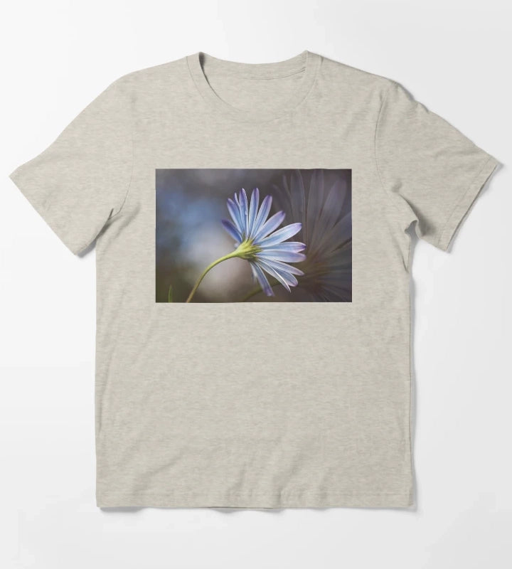 Cape Daisy Softy Echos T-Shirt Cream
