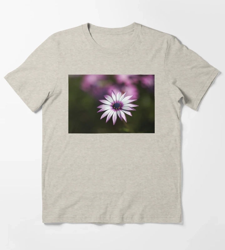 Pink Plus White Cape Daisy T-Shirt Cream