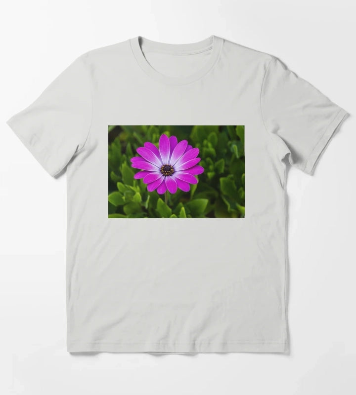 Vibrant Purple Daisy Blooming CloseUp Over Green Garden Leaves Pink Osteospermum Flower T-Shirt Light Grey