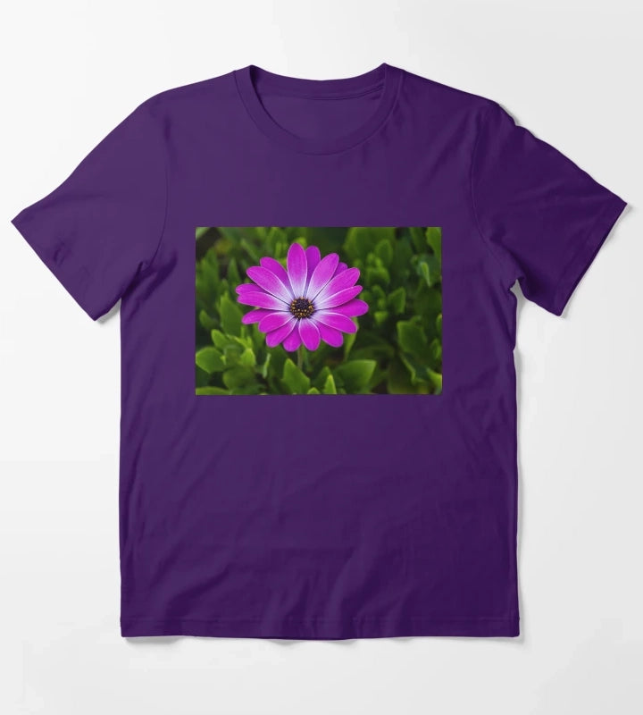 Vibrant Purple Daisy Blooming CloseUp Over Green Garden Leaves Pink Osteospermum Flower T-Shirt Purple