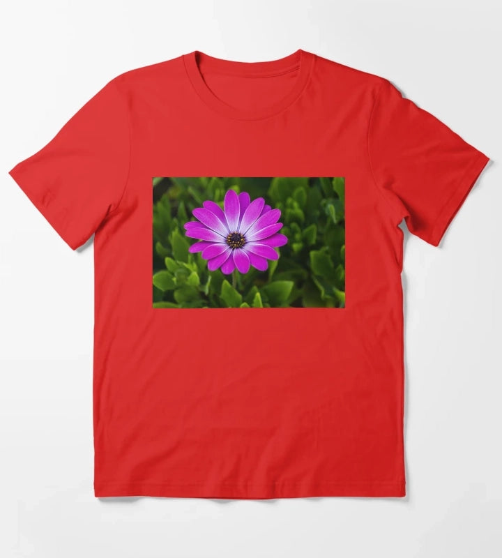 Vibrant Purple Daisy Blooming CloseUp Over Green Garden Leaves Pink Osteospermum Flower T-Shirt Red