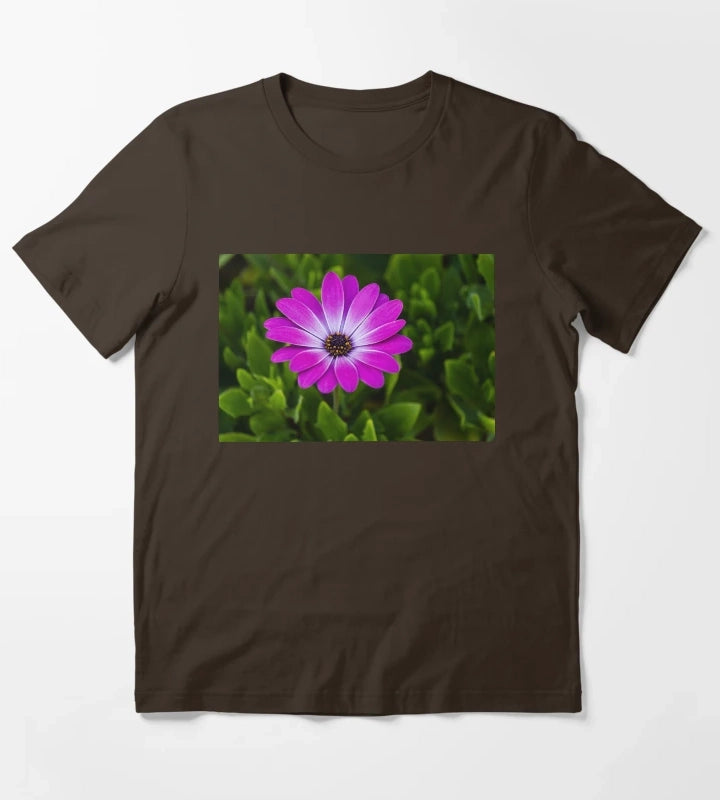 Vibrant Purple Daisy Blooming CloseUp Over Green Garden Leaves Pink Osteospermum Flower T-Shirt Brown