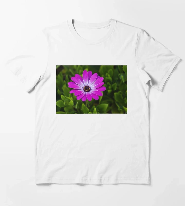 Vibrant Purple Daisy Blooming CloseUp Over Green Garden Leaves Pink Osteospermum Flower T-Shirt White
