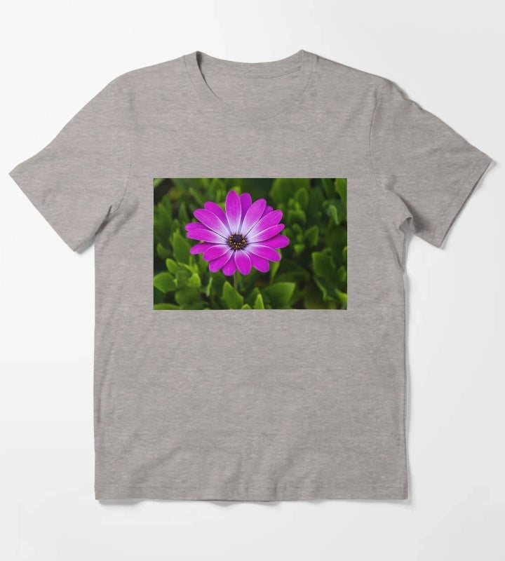 Vibrant Purple Daisy Blooming CloseUp Over Green Garden Leaves Pink Osteospermum Flower T-Shirt Heather Grey