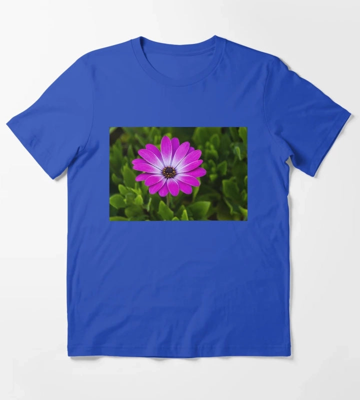 Vibrant Purple Daisy Blooming CloseUp Over Green Garden Leaves Pink Osteospermum Flower T-Shirt Blue