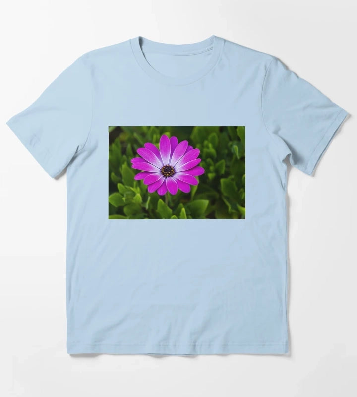 Vibrant Purple Daisy Blooming CloseUp Over Green Garden Leaves Pink Osteospermum Flower T-Shirt Sky Blue