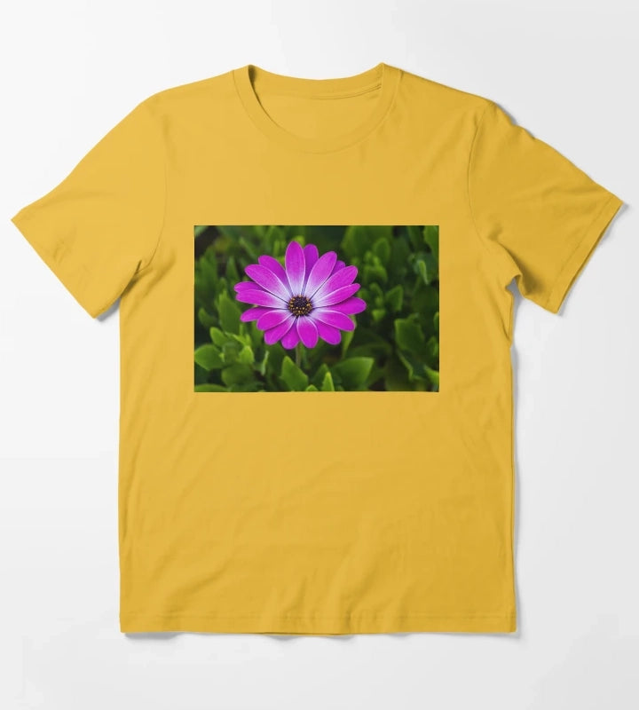 Vibrant Purple Daisy Blooming CloseUp Over Green Garden Leaves Pink Osteospermum Flower T-Shirt Yellow