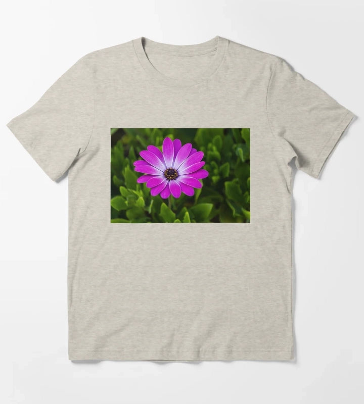 Vibrant Purple Daisy Blooming CloseUp Over Green Garden Leaves Pink Osteospermum Flower T-Shirt Cream