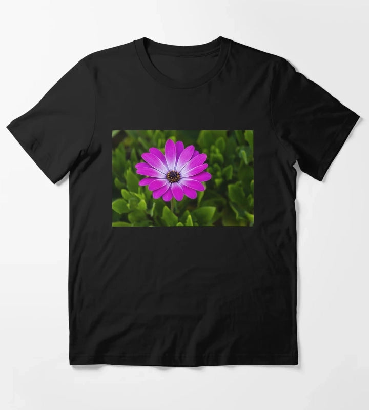 Vibrant Purple Daisy Blooming CloseUp Over Green Garden Leaves Pink Osteospermum Flower T-Shirt